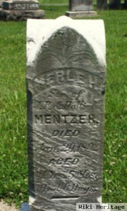 Merle H. Mentzer