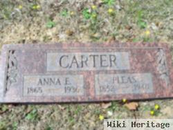 Anna E. Carter