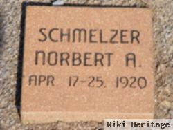 Norbert Anthony Schmelzer