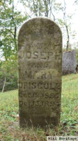 Infant Son Of Joseph & Mary Driscoll