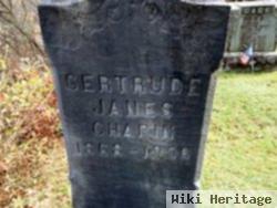 Gertrude Janes Chapin