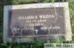 William Wilcox