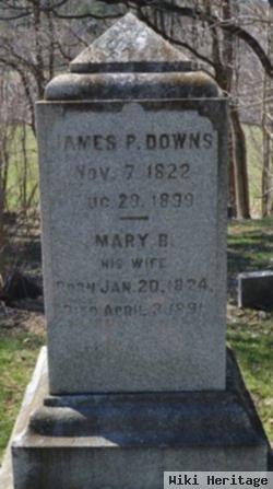 James P Downs