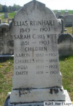 Elias Reinhart