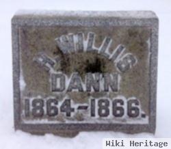 Homer Willis Dann