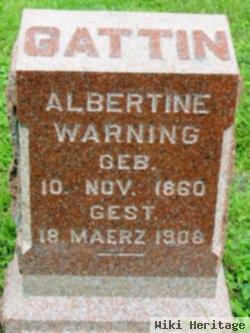 Albertine Warning