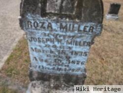 Rosanna "roza Or Rosa" Delap Miller