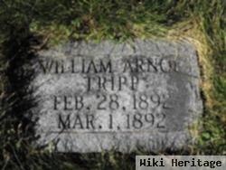 William Arnol Tripp