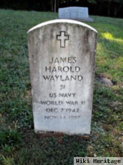 James Harold Wayland