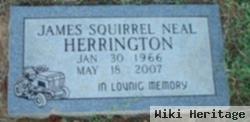 James Neal "squirrel" Herrington