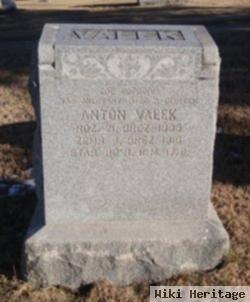 Anton Valek