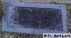 Mary E. Willis