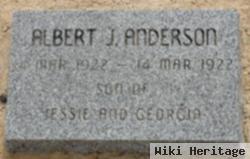 Jesse Albert Anderson