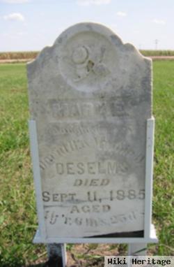 Mary E. Deselms