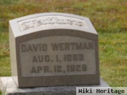 David Wertman