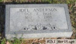 Joel Anderson