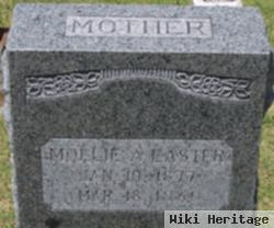 Mary A "mollie" Wilson Easter