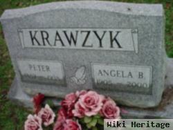 Peter Krawzyk