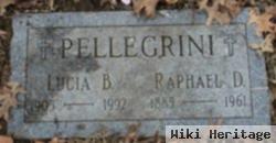 Raphael D Pellegrini