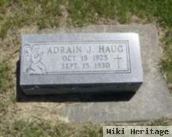 Adrain J Haug