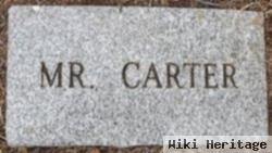 Male Carter