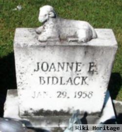 Joanne E. Bidlack