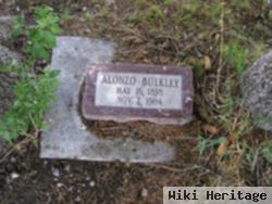 Abner Alonzo Bulkley