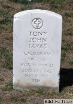 Tony John Tavas