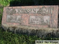 Charles A. Johnsen