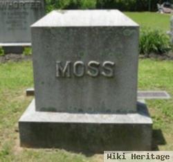 Otes Glen Moss