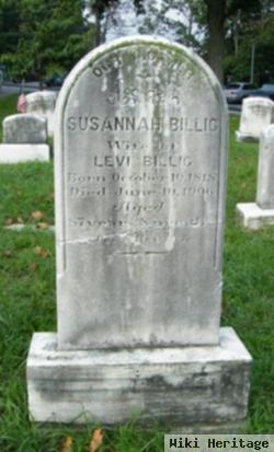 Susannah Seidel Billig