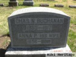 Anna Pestel Buchanan