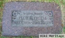 Floy Ruth Grantham Freese