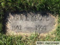 Sara E Grove