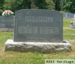 Mississippi "isippi" Dalton Marshall