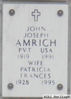 John J Amrich