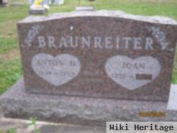 Anton D Braunreiter