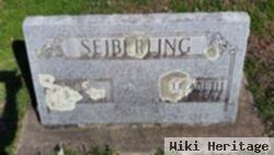 Elizabeth Louise "eliza" Dowling Seiberling