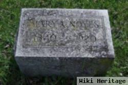 Mary A. Kennedy Noyes