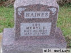 Meryl E. Haines