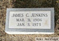 James C Jenkins