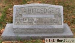 Sidney Ann Allen Whitledge