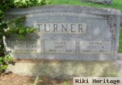 Agnes Kay Hauser Turner