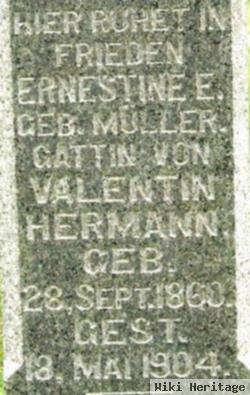 Ernestine E Muller Hermann