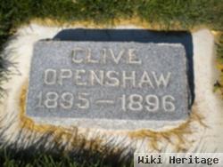 Clive Openshaw