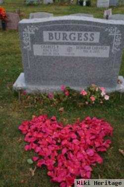 Charles Burgess