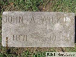 John A Wilkins