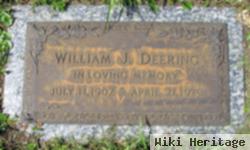 William James Deering