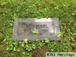 Frank Herzel