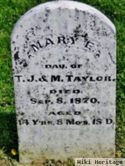 Mary E Taylor